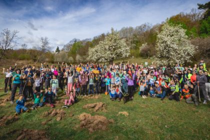 campanie ecologica la cisnadie se vor planta 1300 de copaci