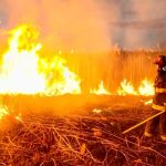 incendiile de vegetatie sunt interzise ISU Sibiu lanseaza un avertisment