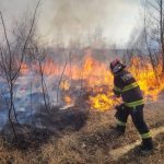 incendiu de mari dimensiuni la porumbacu de sus afecteaza peste 100 de hectare de terren foto