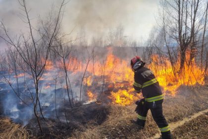 incendiu de mari dimensiuni la porumbacu de sus afecteaza peste 100 de hectare de terren foto