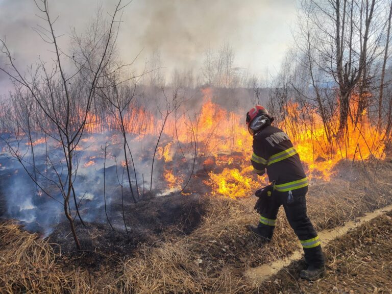 incendiu de mari dimensiuni la porumbacu de sus afecteaza peste 100 de hectare de terren foto