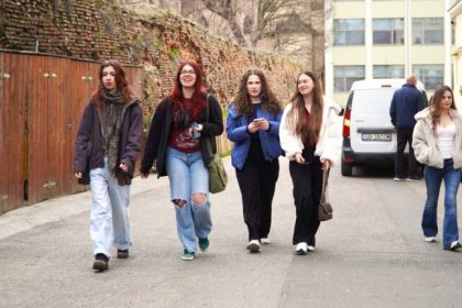 simularea la limba romana i a surprins pe elevii din sibiu nu ma asteptam sa pice barbu