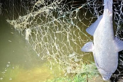 Braconieri surprinsi pe Olt la Avrig au fugit cand au zarit politia