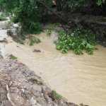 Coduri portocalii si galbene de inundatii pe mai multe rauri din tara judeul sibiu se afla in zone periculoase