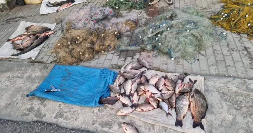 Braconieri prinși în flagrant după 20 de ore de pândă pe lacul de acumulare de la Arpașu