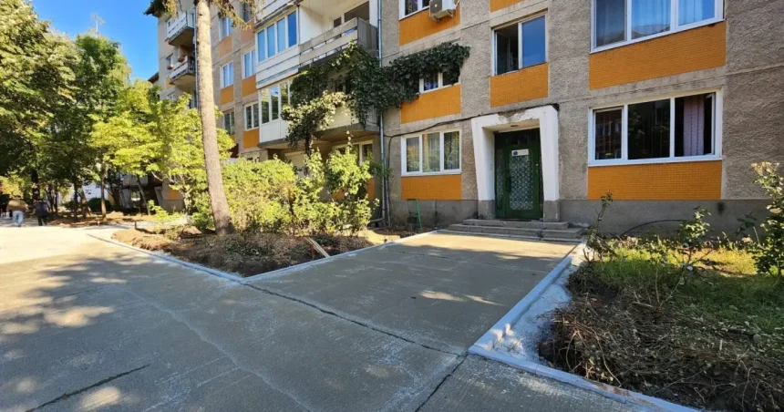 Bulevardul Vasile Milea: gardul viu, înlocuit cu arbuști și plante perene