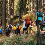 Peste 500 de voluntari au participat la drumeția pentru ecologizarea Păltinișului