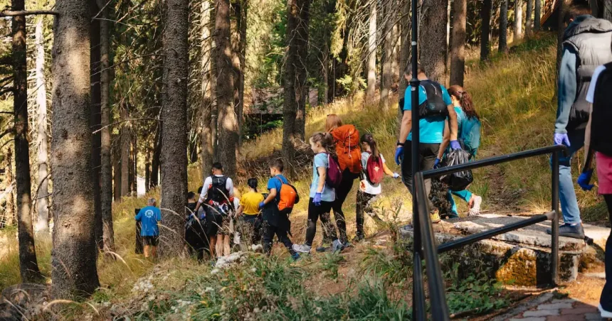 Peste 500 de voluntari au participat la drumeția pentru ecologizarea Păltinișului