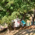 Săpăturile pentru noile alei din Parcul Cetății au început