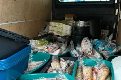 Sibiancă prinsă pe malul Dunării cu peste 200 de kilograme de pește braconat