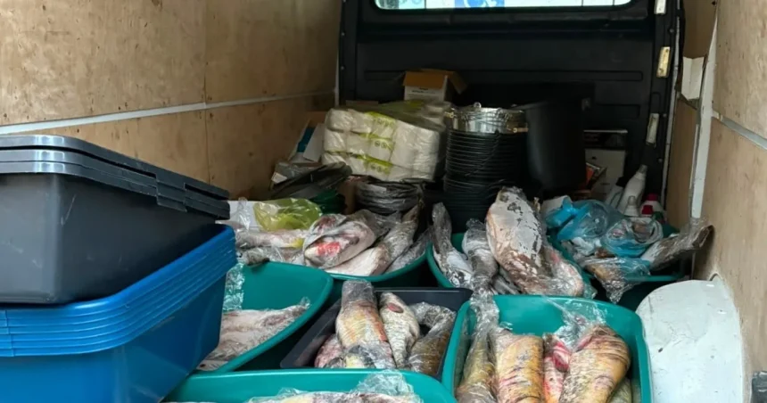 Sibiancă prinsă pe malul Dunării cu peste 200 de kilograme de pește braconat