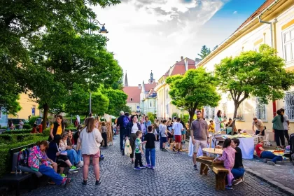 Street Delivery Sibiu, pe Târgul Vinului. Trei zile de restricții în Orașul de Jos