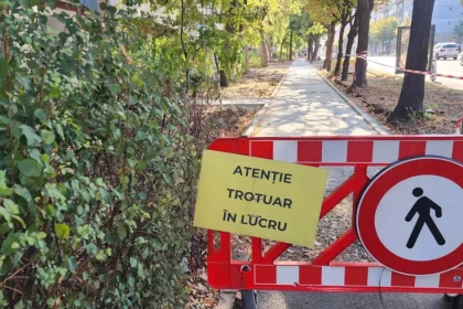 Trotuar nou pe Vasile Milea: „Gardul viu ne proteja de poluare”