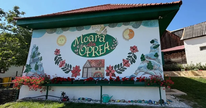 Ultima moară de apă din Cârțișoara: omul care a salvat-o