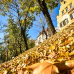 Vremea se răcește în Sibiu în perioada 21-28 septembrie: ploi, vânt și lapoviță la munte