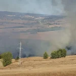 10 hectare de vegetație uscată au ars la Copșa Mică