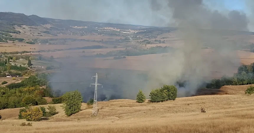 10 hectare de vegetație uscată au ars la Copșa Mică