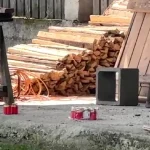 Acuzatul crimei din Gura Râului, judecat pentru omor calificat și profanare de cadavre