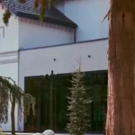 Bolta Rece se redeschide de joi, cu două zone separate
