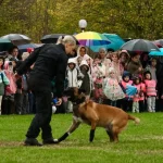 Câini polițiști, demonstrație cu droguri și urmăriri pentru 1.400 de elevi din Sibiu