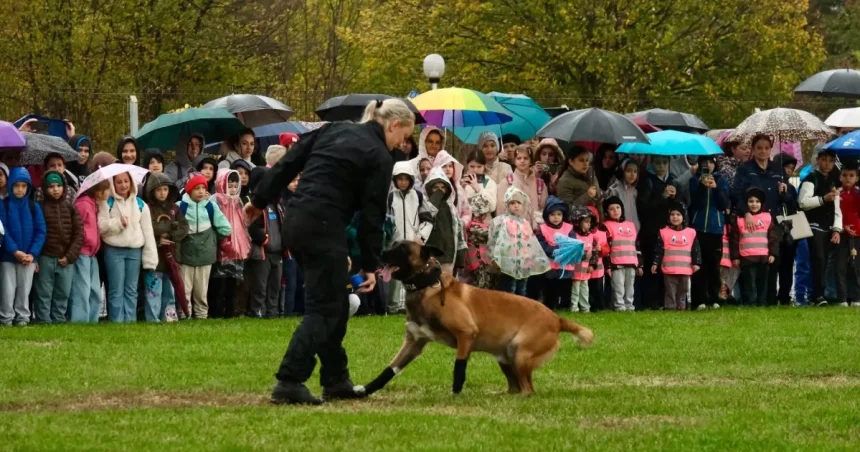 Câini polițiști, demonstrație cu droguri și urmăriri pentru 1.400 de elevi din Sibiu