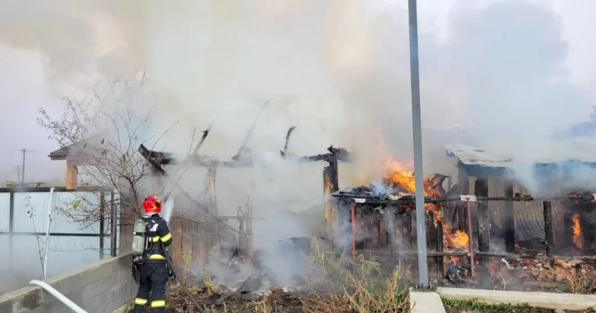 Incendiu la Cârța: 36 de păsări și un câine au murit; casa, salvată de pompieri