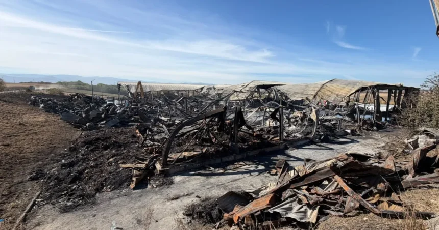 Incendiu lichidat la stația de sortare din Rusciori. Cauza, necunoscută încă