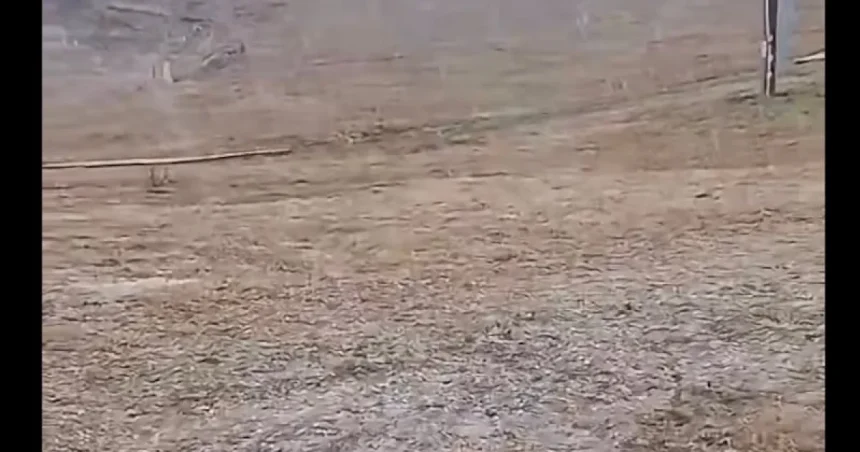 Ninge la Păltiniș. Prima zăpadă a iernii vine cu temperaturi negative
