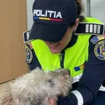 Polițiștii sibieni învață copiii despre protecția animalelor, în Parcul Sub Arini