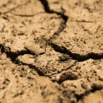 Secetă extremă la Sibiu: ploi de zece ori mai puține în septembrie și deloc în octombrie