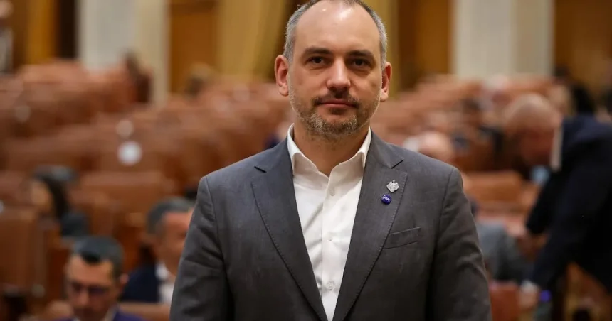 Senatul a adoptat legea USR: vânzarea lucrărilor de licență și doctorat va fi sancționată