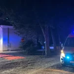 Telemeaua, cauza îmbolnăvirii nuntașilor de la Avrig. Stafilococ auriu în brânză