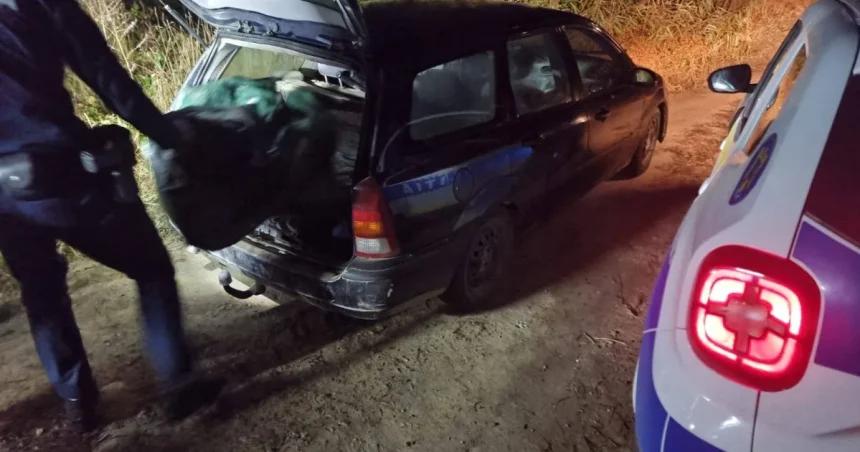 Trei brașoveni prinși noaptea pe barajul Scoreiu-Colun cu 570 de metri de plase interzise
