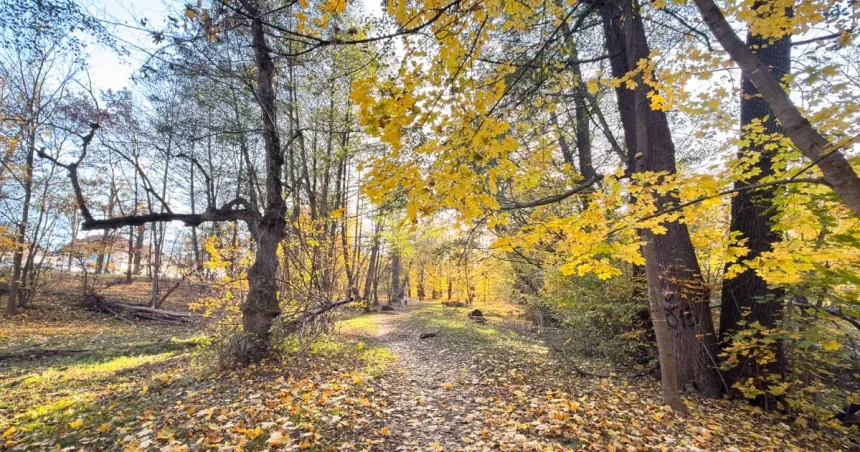 Vineri, vreme frumoasă, până la 20 de grade. Nopțile și diminețile rămân reci