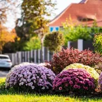Vreme caldă la Sibiu: 24 de grade miercuri, dar rece dimineața