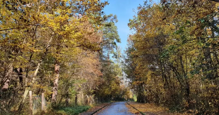Vremea în Sibiu: 22 de grade la mijlocul săptămânii, apoi ploi și răcire spre weekend